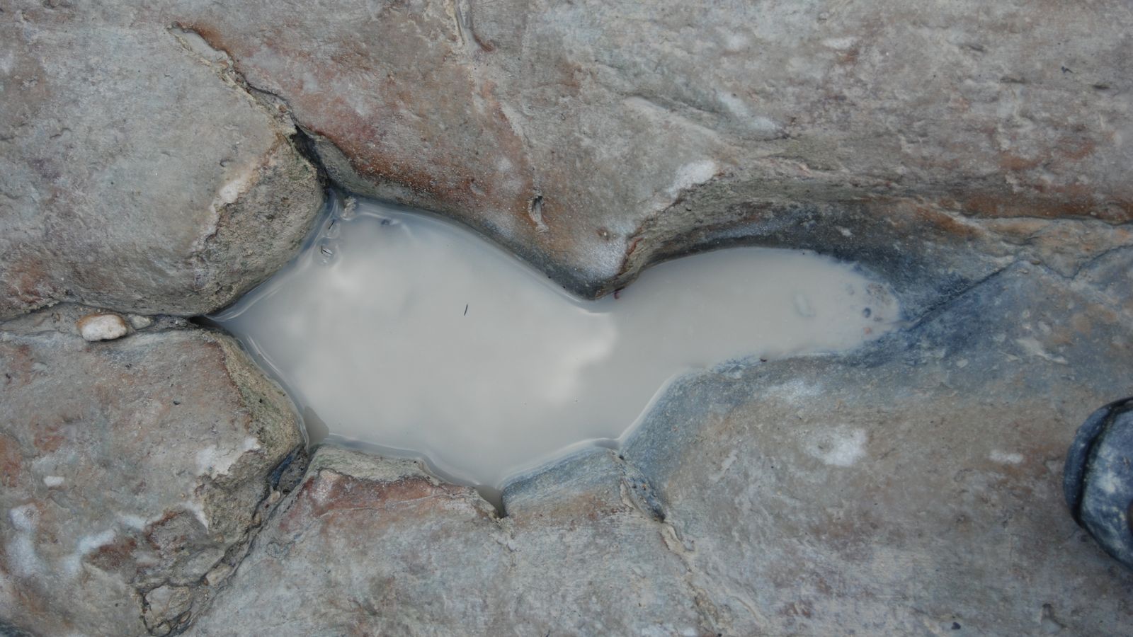 Paluxy River Prints: The Footprints That Defy Evolution