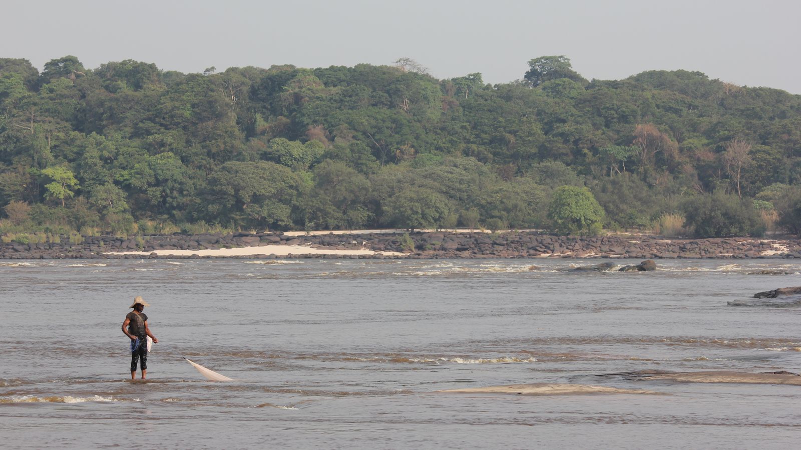 Is Congo's 'Living Dinosaur' Real?