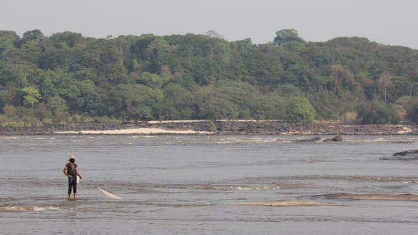 Is Congo's 'Living Dinosaur' Real?